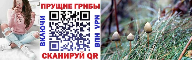 Псилоцибиновые грибы MAGIC MUSHROOMS  Сольвычегодск 